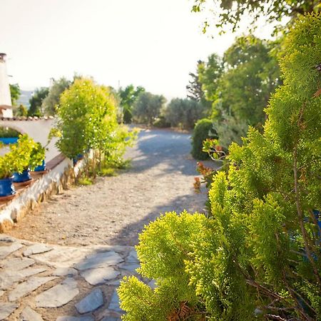 Cuevas De Rolando Pension Guadix Buitenkant foto